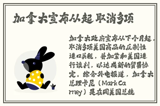 网络中国生活